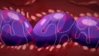 Thumbnail of post image 126