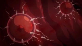 Thumbnail of post image 004