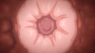 Thumbnail of post image 174
